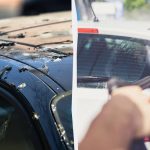 A madarak már nem szarnak az autókra: ezt kell tennie A madarak már nem szarnak az autókra: ezt kell tennie