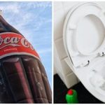 Az emberek leöntik a Coca-Colát a vécébe, és izgatottak lesznek: mi a rejtett jelentése? Az emberek leöntik a Coca-Colát a vécébe, és izgatottak lesznek: