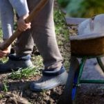 Az október meglepetést tartogat: a szakértő "arany" napokat mutat az ültetéshez Az október meglepetést tartogat: a szakértő „arany” napokat mutat az