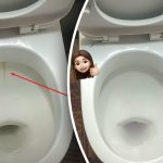 Egy termék ragyogó fényűre fehéríti a WC-csészét: így kezelje a lepedéket és a szennyeződéseket 15 perc alatt Egy termék ragyogó fényűre fehéríti a WC-csészét: így kezelje a