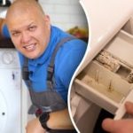 Hogyan tisztítsuk meg a mosógépet a penésztől és a szagoktól: a szakértő filléres tippjei Hogyan tisztítsuk meg a mosógépet a penésztől és a szagoktól: