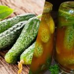 Hogyan zárjuk be az uborkát a chili ketchupban télen: 3 páratlan receptet Hogyan zárjuk be az uborkát a chili ketchupban télen: 3